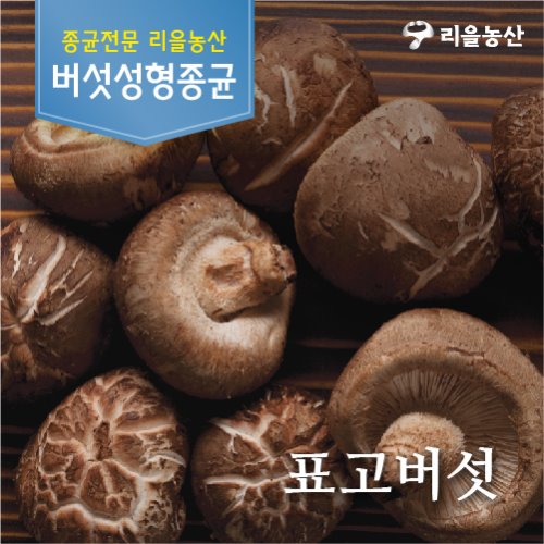 [리을농산]표고버섯종균
